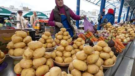 В Минэкономики пообещали «резко снизить» цены на картошку. А где белорусам уже сейчас купить по 25 копеек?