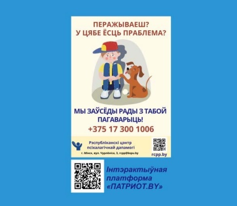 Старые образцы не подойдут? В Минобразования ответили, какие дневники нужно купить белорусским школьникам