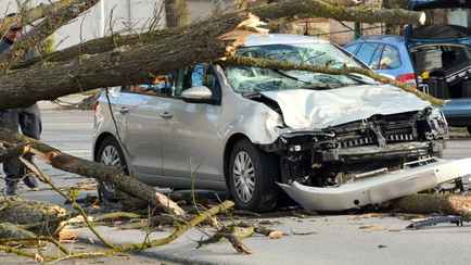 Заплатит ли страховая за упавшее на авто дерево после урагана? Агент объяснила нюансы