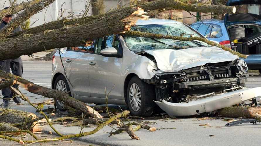 Заплатит ли страховая за упавшее на авто дерево после урагана? Агент объяснила нюансы