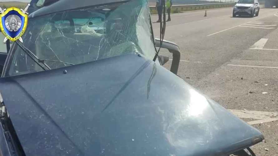 Скриншот: Telegram-канал "Следственный комитет Беларуси"