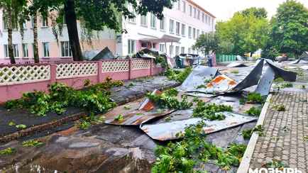 «Отвратительная работа» — Лукашенко рассказал, кого «начал колошматить» после урагана на Гомельщине