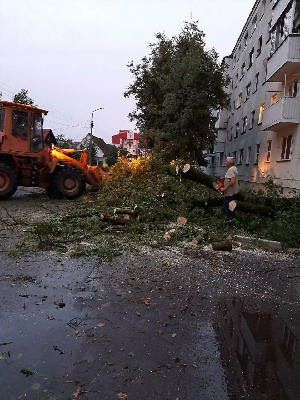 Град с куриное яйцо, вырванные с корнем деревья, остановившиеся поезда. Беларусь пережила шторм-«апокалипсис»