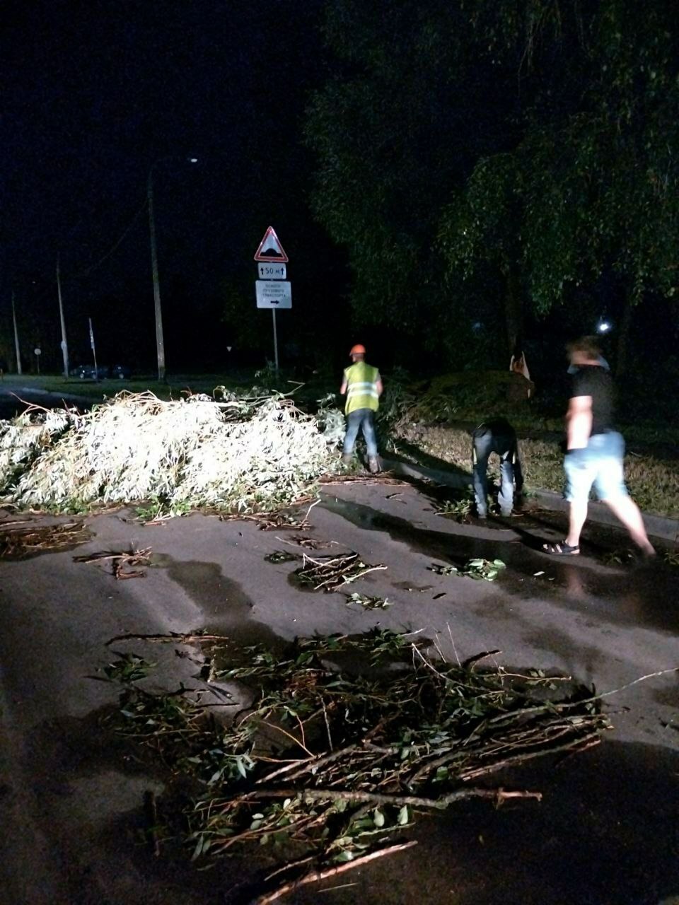 Град с куриное яйцо, вырванные с корнем деревья, остановившиеся поезда. Беларусь пережила шторм-«апокалипсис»