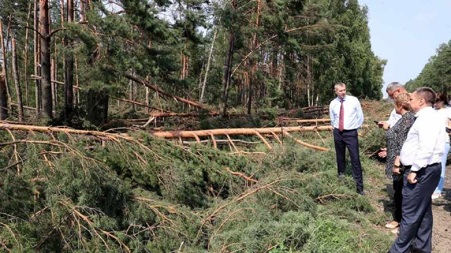 Фото: БЕЛТА