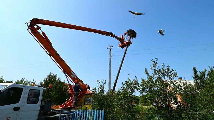 Фото: "Брестэнерго"