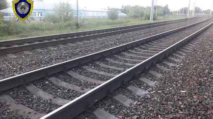 В Жлобине электропоезд насмерть сбил 8-летнюю девочку