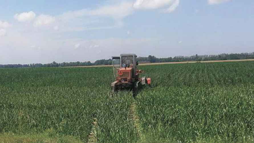 Фото: УВД Брестского облисполкома