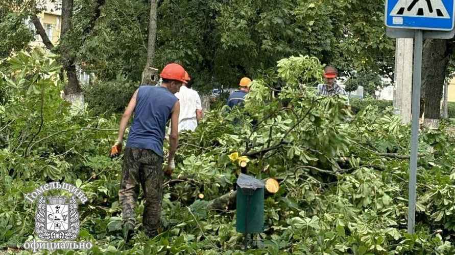 Фото: Telegram-канал "Гомельщина официально"