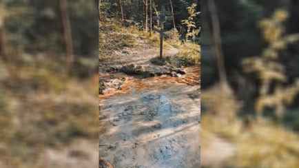 «Место завораживает!» — В TikTok рассказали, где в Беларуси найти «кусочек Исландии»