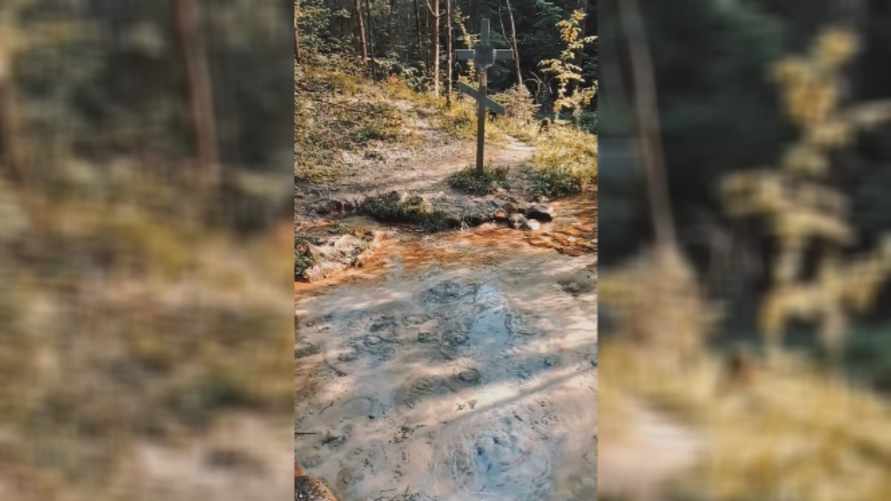 «Место завораживает!» - В TikTok рассказали, где в Беларуси найти «кусочек Исландии»