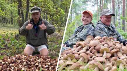 «Прогулка — 200 штук» — Белорусские грибники объявили старт волны боровиков. Где уже собирают полные корзины?