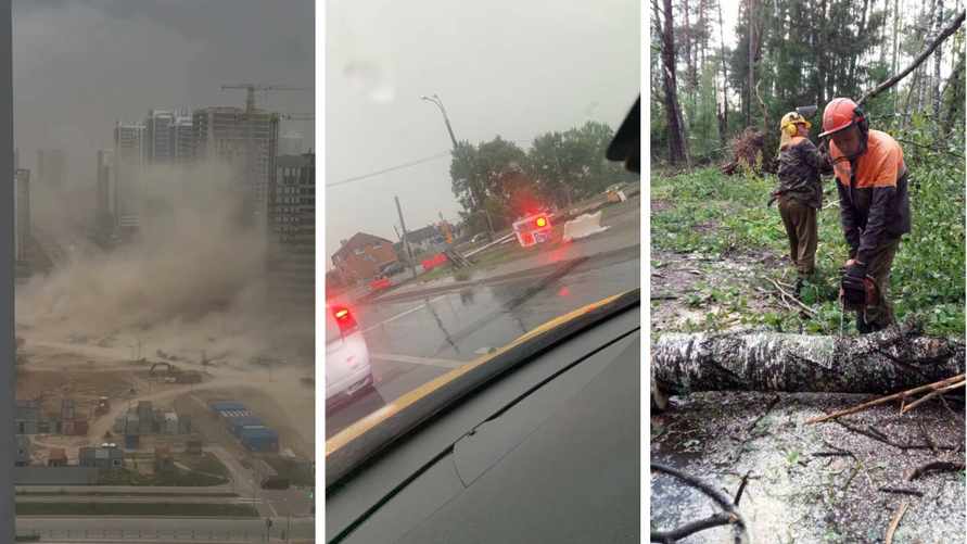 Шторм до 108 км/час оставил 452 населенных пункта в Беларуси без света. Есть погибшая. Белорусы поделились видео