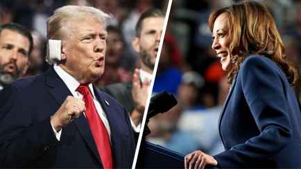 Такого не было 50 лет. Харрис собрала рекордные 200 млн долларов и обошла Трампа в рейтинге