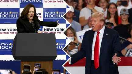 Харрис обошла Трампа в ключевых штатах. Какую кличку дала миллиардеру?