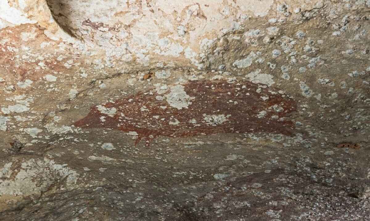 Фото: Nature.com