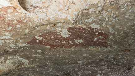 Археологи нашли рассказ в картинках, которому больше 50 тысяч лет. Что за «гибриды» на нем изображены?