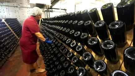 «Подрывают государственную политику России» — В РФ потребовали писать на бутылках вина из Беларуси «не является вином»