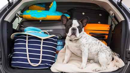 Собираетесь в отпуск на машине? Вот чек-лист, что нужно обязательно сделать перед поездкой