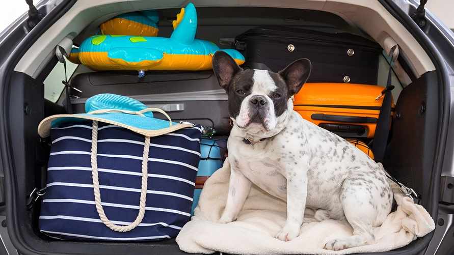 Собираетесь в отпуск на машине? Вот чек-лист, что нужно обязательно сделать перед поездкой