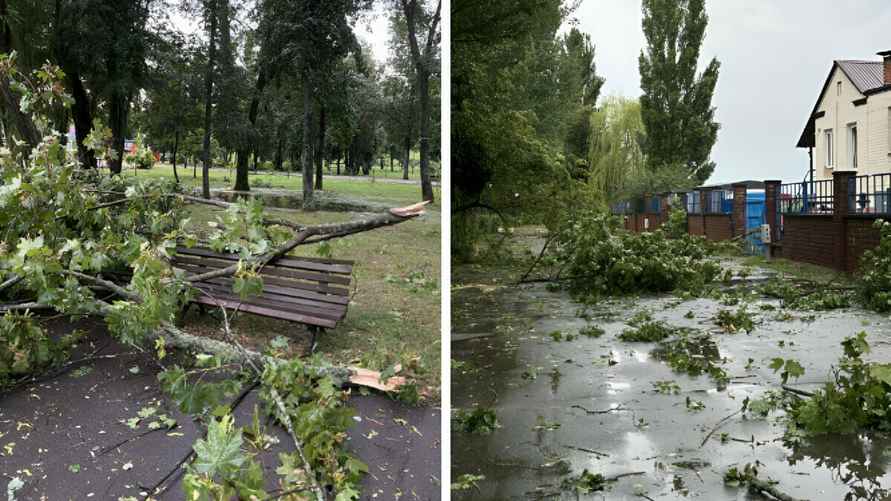 Последствия урагана в парке "Победа" 14 июля. Фото: Telegraf.news