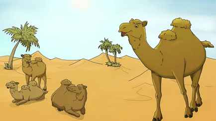 Эта задача заставит ваш мозг вскипеть. Что не так с верблюдами в пустыне?