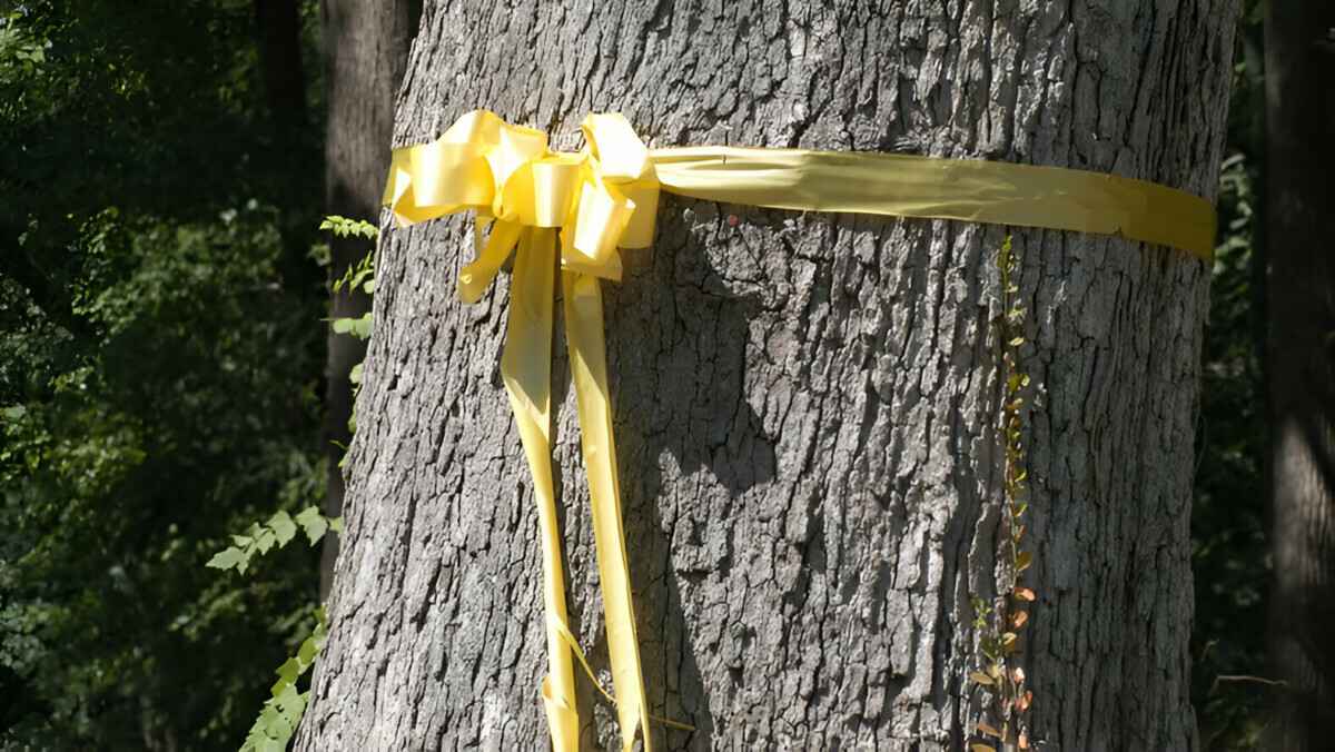 Тля на яблоне