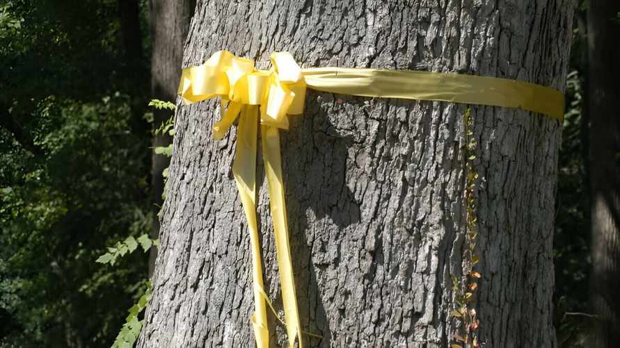 Тля на яблоне