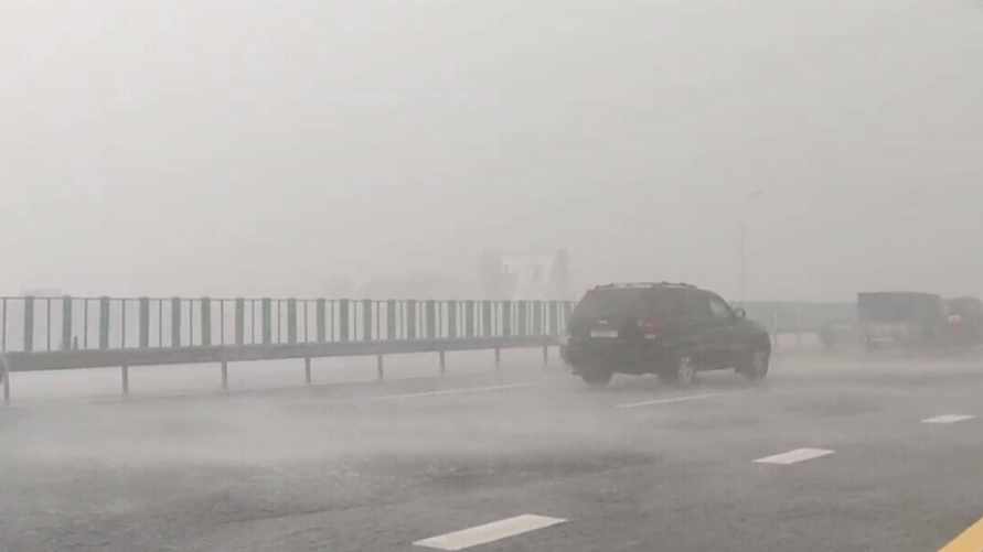 Скриншот видео