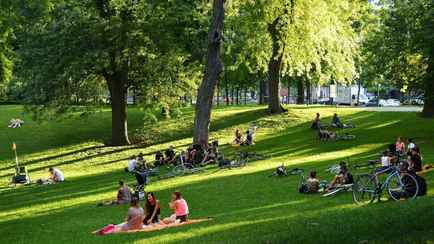 В Минтруда назвали 5 профессиональных праздников в августе. Будут ли дополнительные выходные у белорусов?