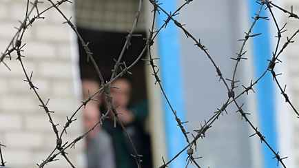 Лукашенко подписал закон об амнистии. Кого условно освободят от наказания, а кому уменьшат срок на год?