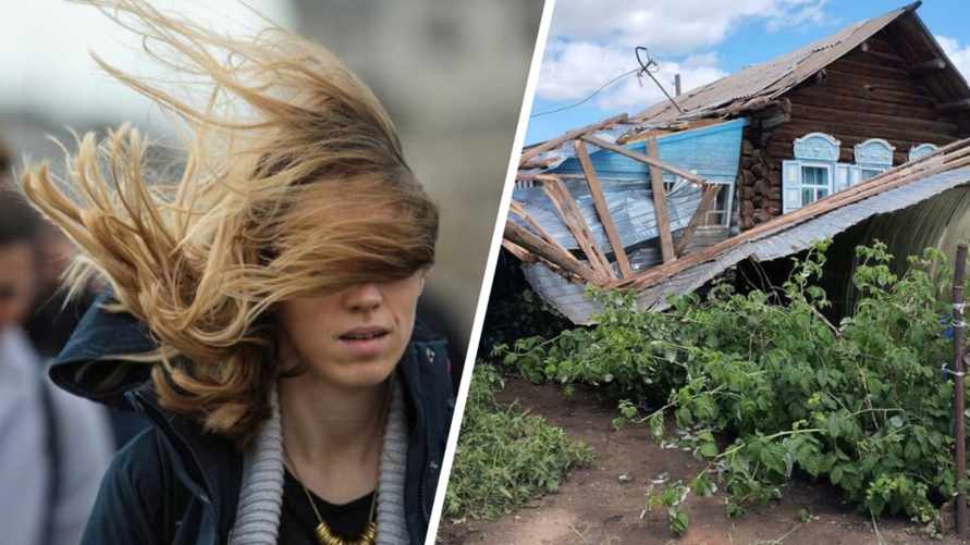 Синоптики продлили оранжевый уровень опасности в Беларуси ещё на день. Где ждать ветра до 72 км/ч?