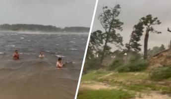«Они бессмертные?» — Появилось видео, как белорусы купались, пока шторм валил деревья