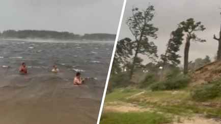 «Они бессмертные?» — Появилось видео, как белорусы купались, пока шторм валил деревья