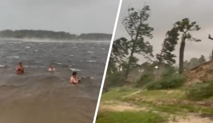 «Они бессмертные?» — Появилось видео, как белорусы купались, пока шторм валил деревья