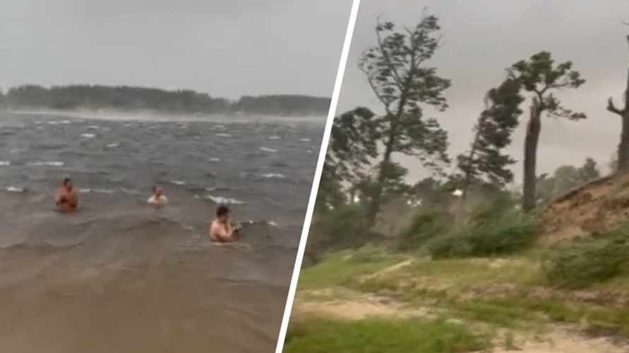 "Они бессмертные?" - Появилось видео, как белорусы купались, пока шторм валил деревья