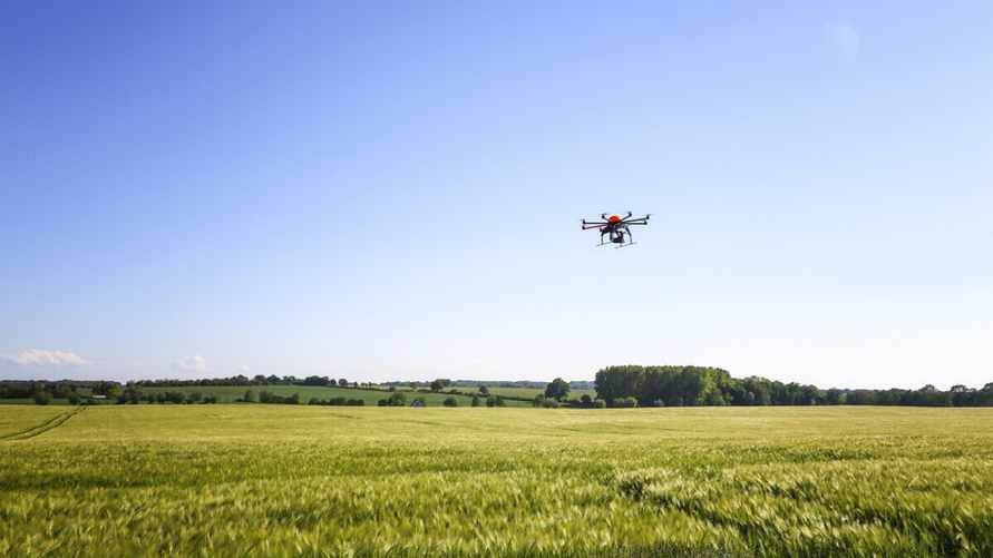 Фото иллюстративное