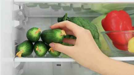 Почему огурцы быстро плесневеют? Вот какой ошибки нужно избегать, помещая их в холодильник