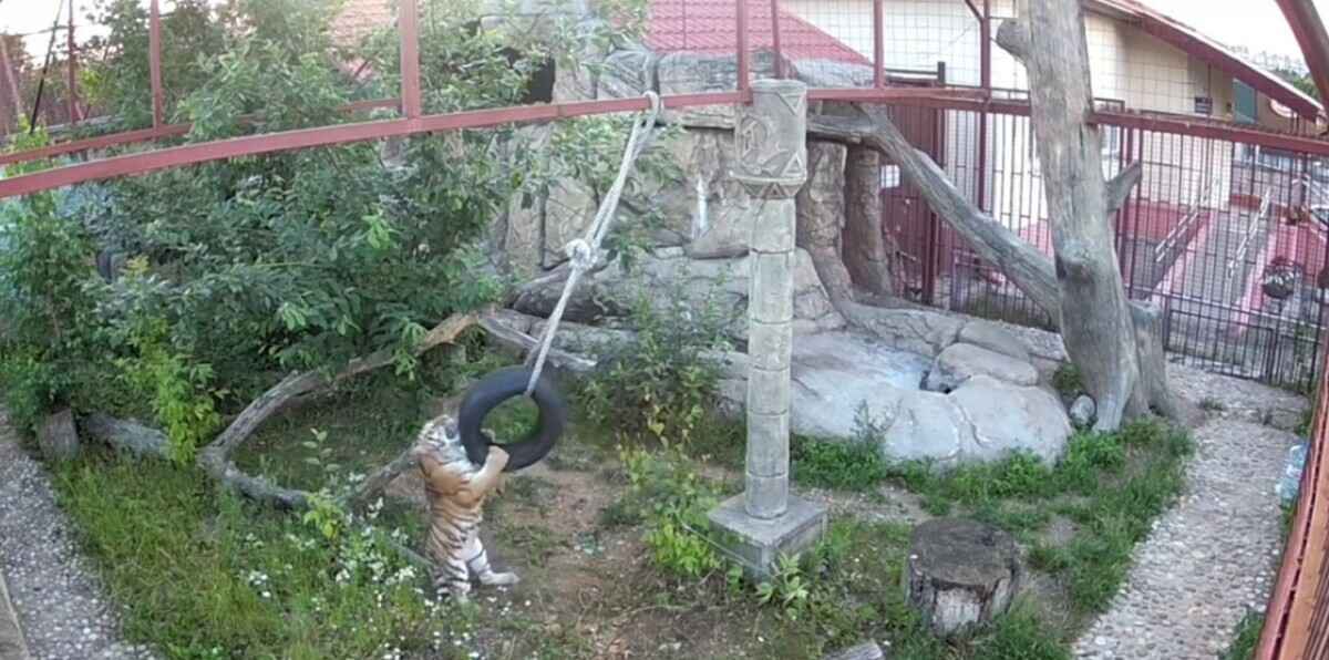 Скриншот видео Мингорисполкома