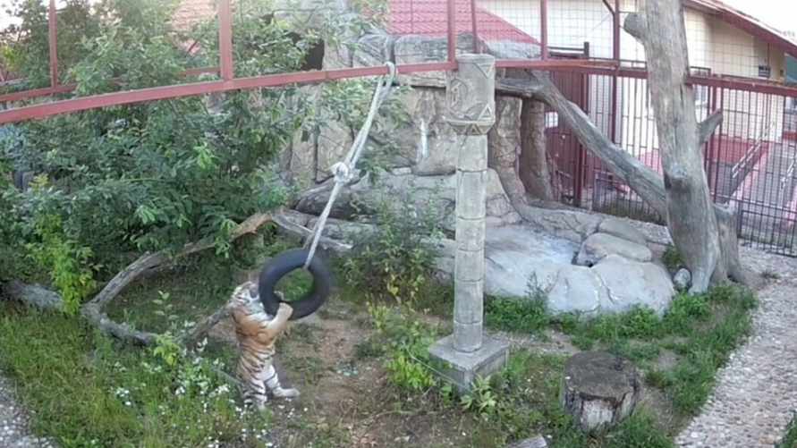 Скриншот видео Мингорисполкома