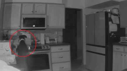 Зажгла плиту и убежала. В Сети появилось видео пожара, который устроила собака