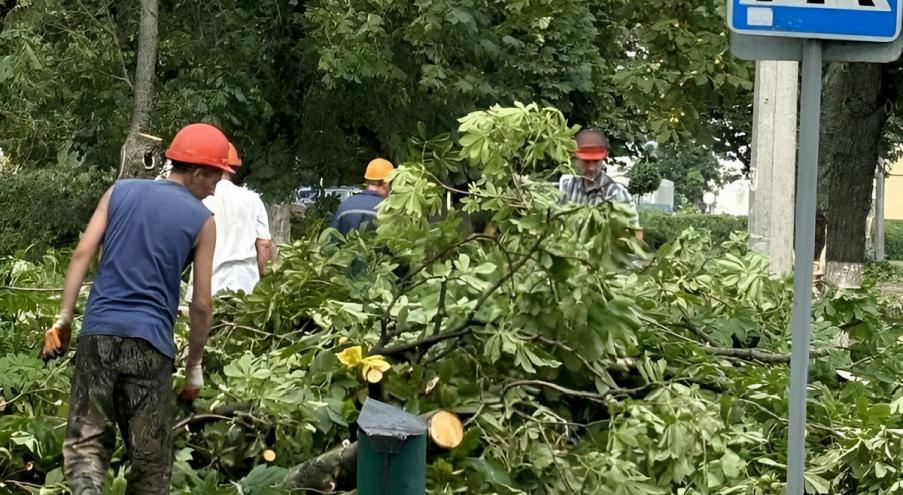 Согласно оперативным данным синоптиков, на 29 июля объявлен