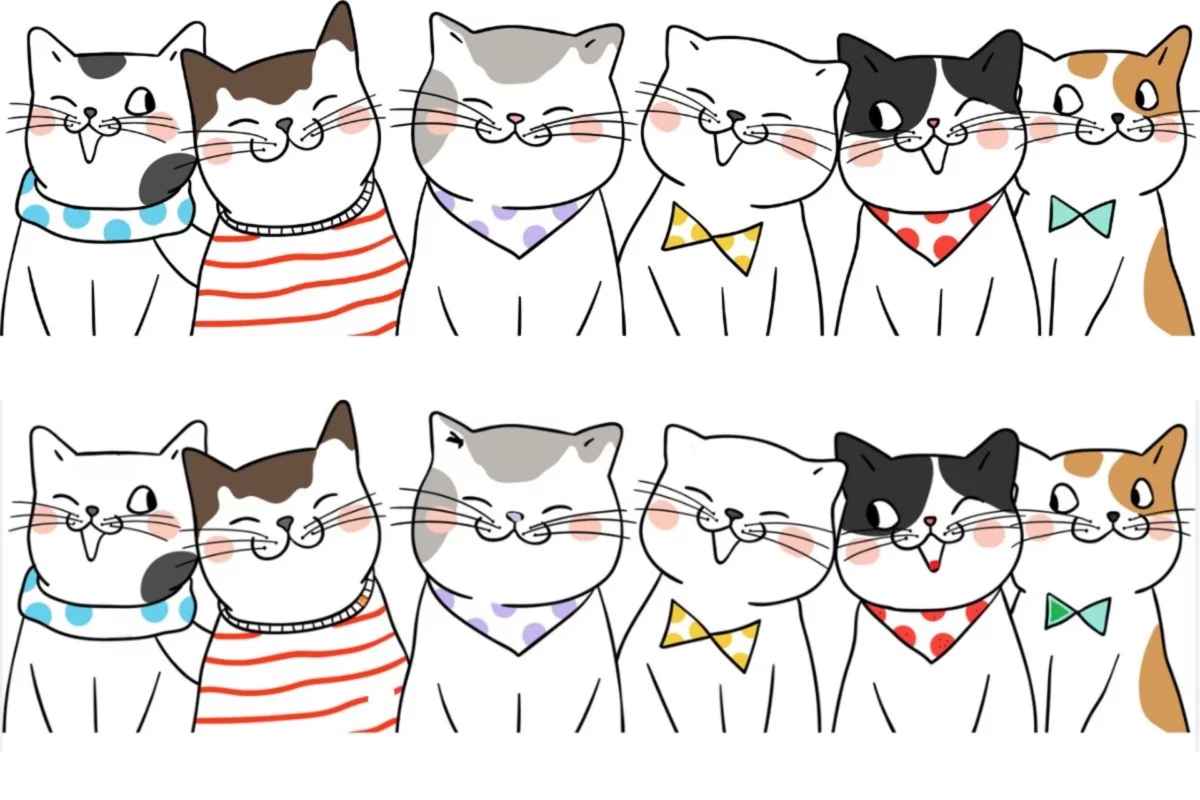 Эта головоломка с котиками проверит вашу внимательность. Сможете найти 11 отличий?