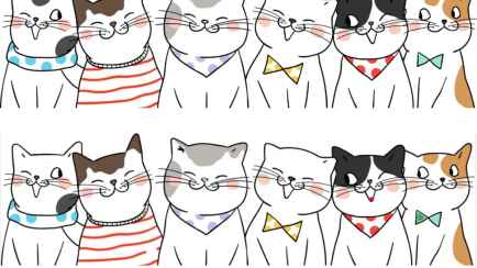 Эта головоломка с котиками проверит вашу внимательность. Сможете найти 11 отличий?