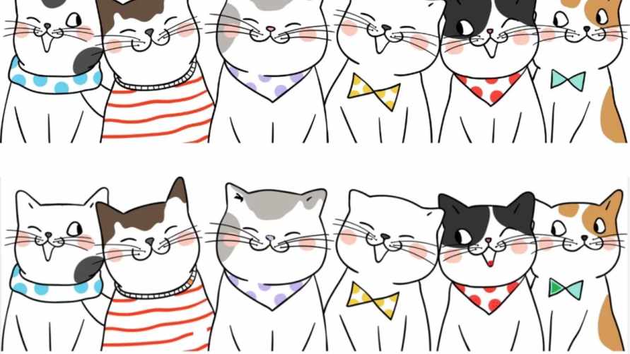 Эта головоломка с котиками проверит вашу внимательность. Сможете найти 11 отличий?