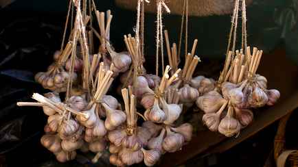 Посыпьте чеснок этим продуктом — и он пролежит до следующего лета. Как хранить?