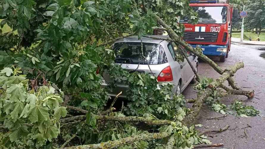 Фото иллюстративное: МЧС Беларуси