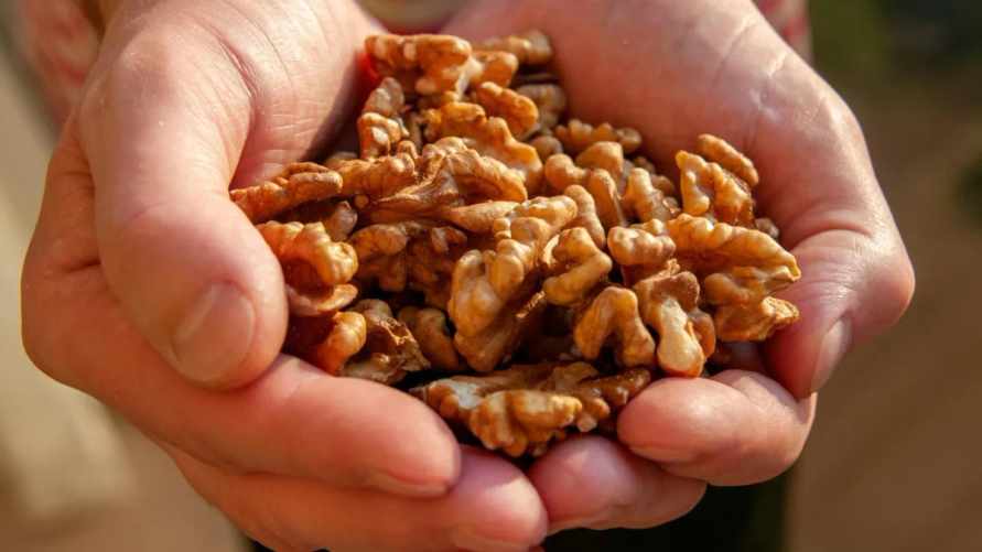 Что нужно сделать на Ореховый спас 29 августа 2024 года? Собрали все народные и церковные традиции и запреты