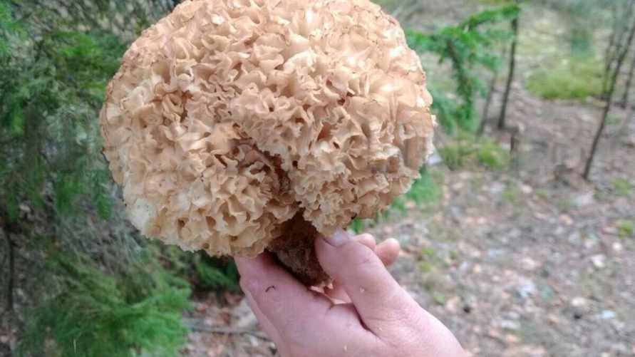 Фото: NewGrodno.by