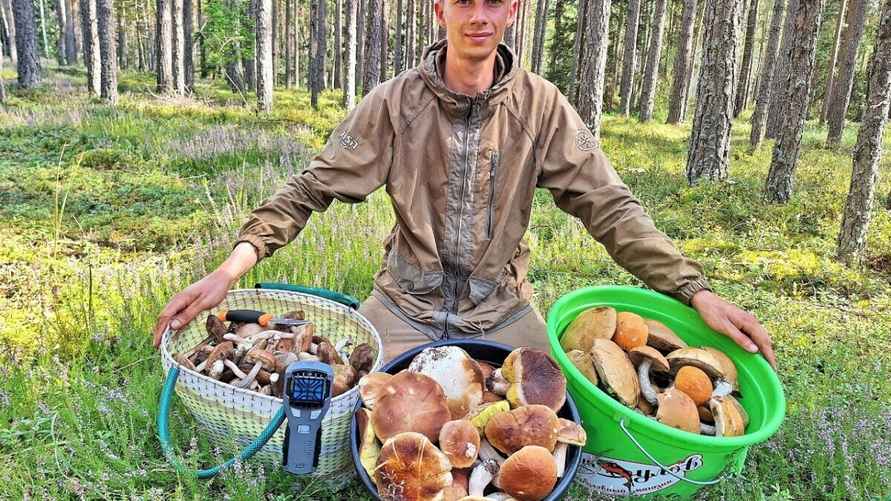 Фото: паблик "Грибы: Грибные войска Беларуси"